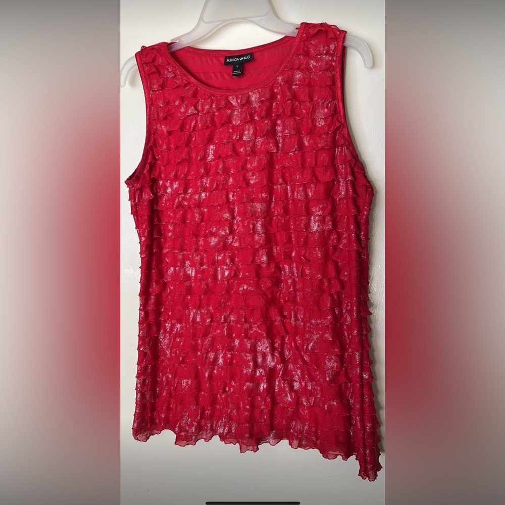 Shimmery Ruffled Fashion Bug Top 🌹
